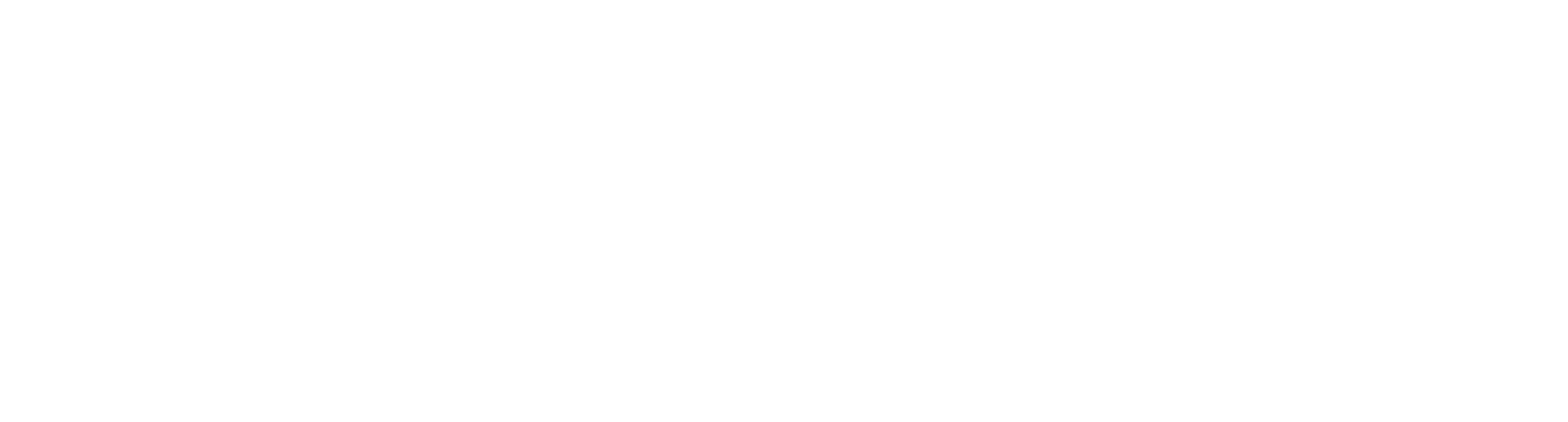 Skinset